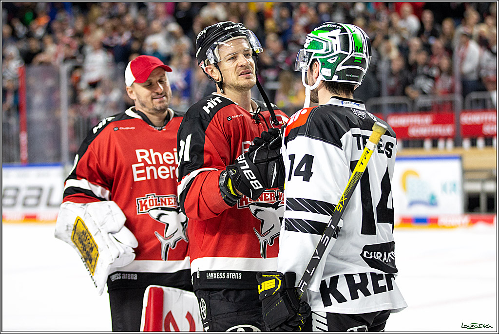 PENNY DEL;  Koelner Haie - Krefeld Pinguins; Koeln, 31.10.2021